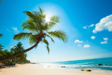 Sommer, Sonne, Urlaub