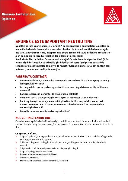 Flyer zur Befragung und Tarifbewegung HuK 2023_2024 - In rumänischer Sprache