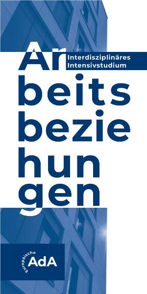 Arbeitsbeziehungen, Interdisziplinäres Intensivstudium