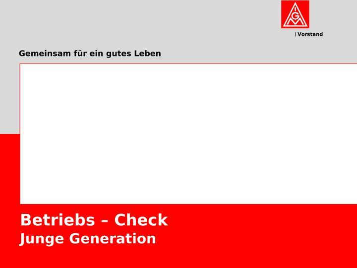 Betriebs-Check, Präsentation für den Einsatz in BR-, JAV- und VL-Sitzung
