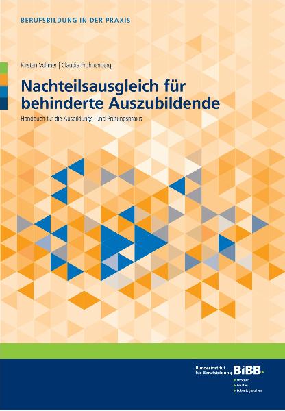 BIBB Praxisband Nachteilsausgleich