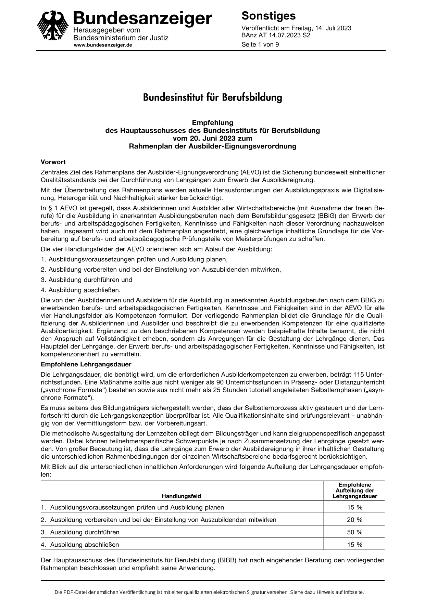 BIBB Hauptausschuss Empfehlung 135 - Rahmenplan der Ausbilder-Eignungsverordnung
